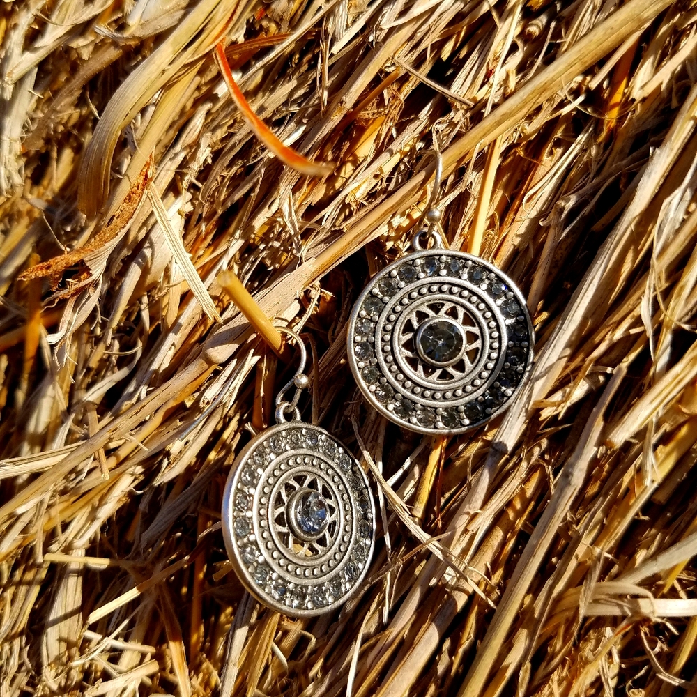 American Eagle Earrings